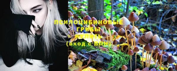 мефедрон Богородицк