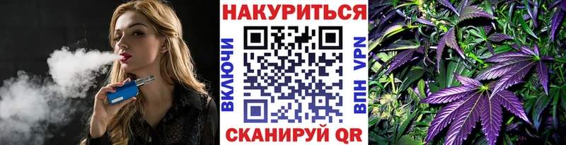 наркота  Кирсанов  Марихуана план 